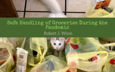 Safe Handling of Groceries During the Pandemic